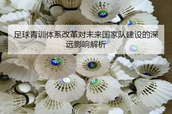 足球青训体系改革对未来国家队建设的深远影响解析